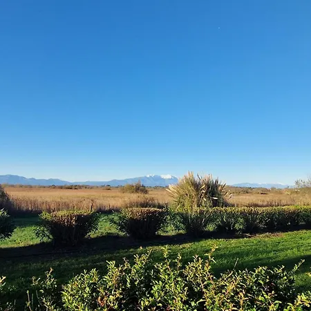 With Terrace And Views Of The Pyrenees * Canet-en-Roussillon