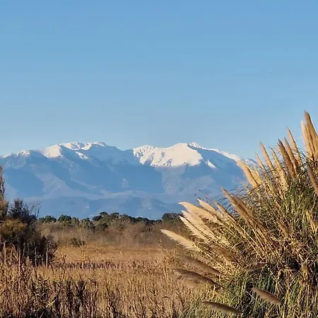 With Terrace And Views Of The Pyrenees