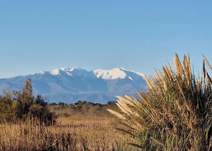 Avec Terrasse Et Vue Sur Les Pyrénées *